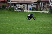 OTFL Gallery Image